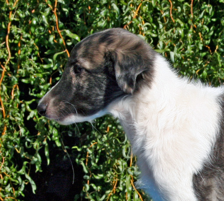 Surf Spots - Boy 2 Sit